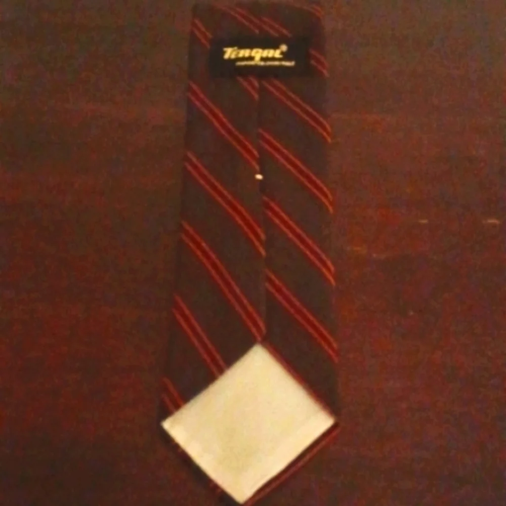 Terqal Vintage Necktie - Picture 2 of 3